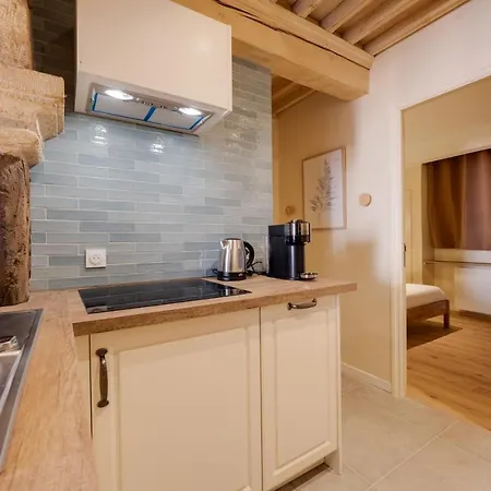 Apartment Le Balcon Perriere I - Charming With Direct View Of The Thiou *